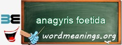 WordMeaning blackboard for anagyris foetida